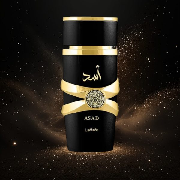 Asad EDP M 100 ml